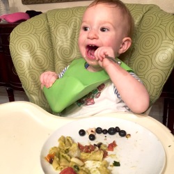 Baby Led Weaning 15 Months